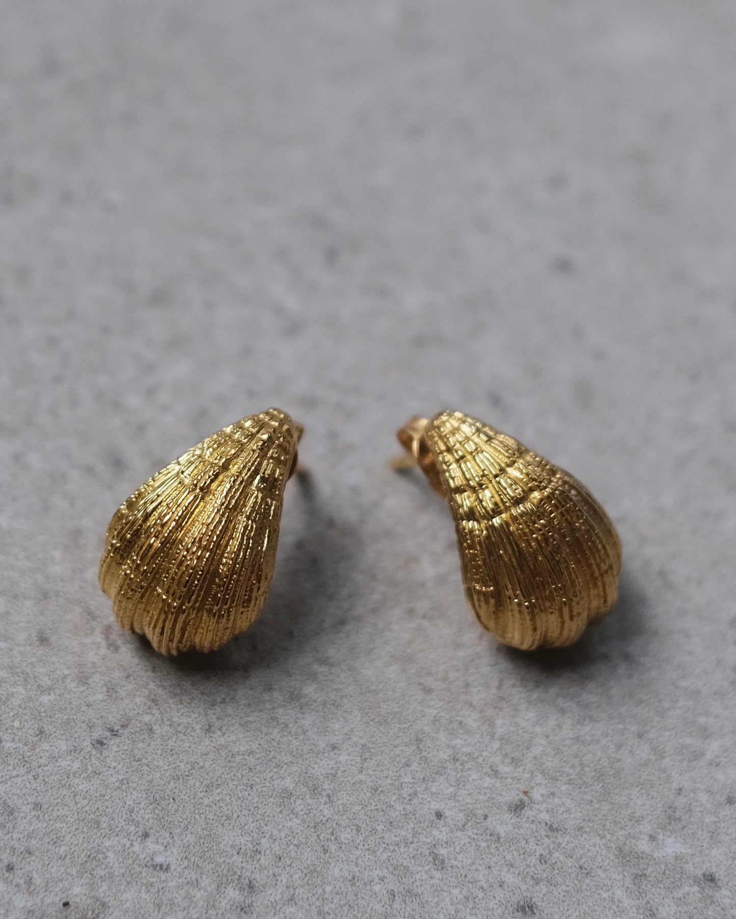 Stud earrings Shells
