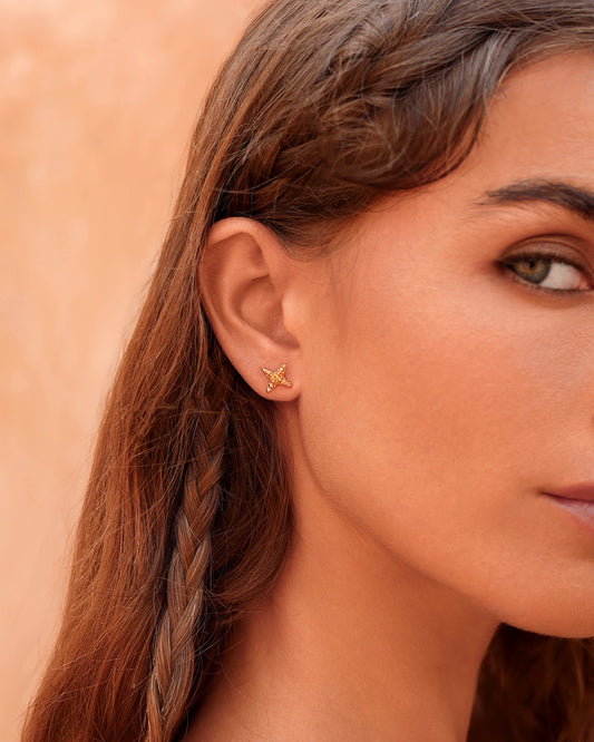 Earrings guiding star gold plated