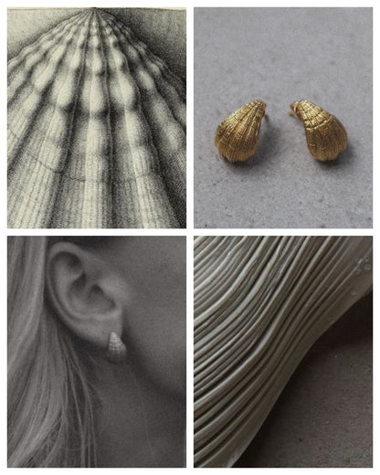 Stud earrings Shells, handcrafted jewelry by Celestera in Bali