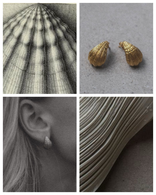 Stud earrings Shells